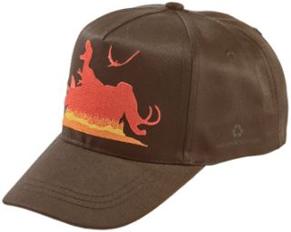 Obrázek z Kšiltovka hnědá dospělá dino 
